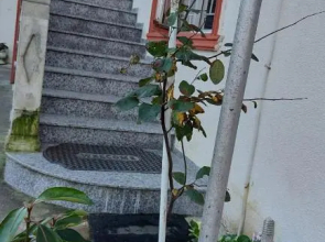 Boutique hotel