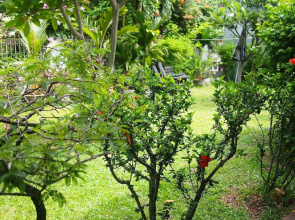 Villa Lamai - Wong Amat House Pattaya