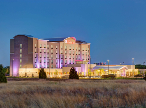 Hilton Garden Inn Dallas/Arlington South