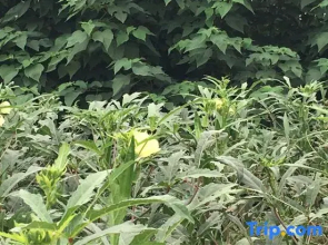 Wanshang Hotel Apartment (Jinan Olympic Sports Center Shengli Dongyuan)