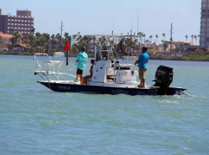 Sea Dancer 9