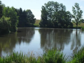Acorn Lake Fishing and Caravans