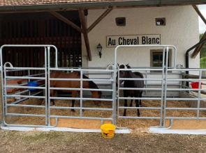 Hôtel Au Cheval Blanc