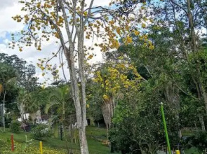 De La Vega Hotel Campestre