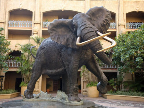The Palace of the Lost City at Sun City Resort