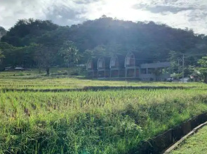 Villa Padi Ciletuh