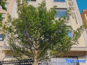 Beihai Xinju Inn (Qiaogang Customs Street Branch)
