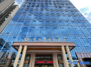 Vienna International Hotel (Zixing New Area)