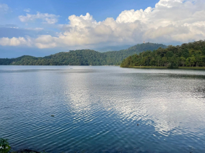 Zhaohong homestay