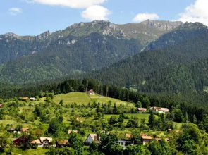 Transylvania Apartments
