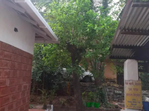 Triskelion - Bed and Breakfast, Family home stay by Joshi Brothers