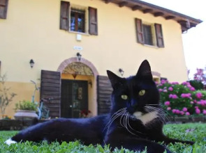 B&B Casale La Decima