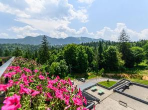 Sarah Deluxe Apartment in SILVER MOUNTAIN