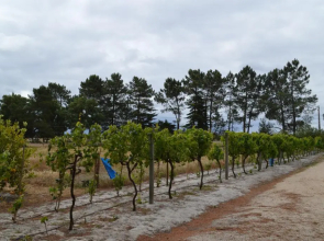 Quinta da Fonte de Grandola