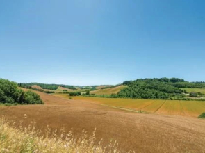 Trebbiano 4