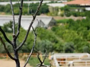 Isa M. Guesthouse