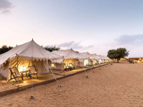 The Golden Camp