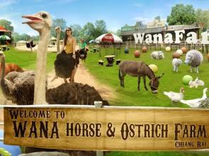 Wana Horse And Ostrich Farm Tent