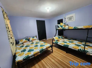 Papa's Rental House