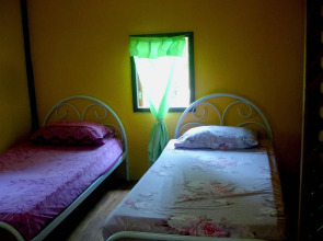 Jungle Zone - Hostel