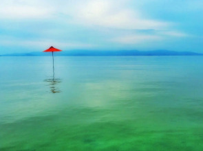 Phangan Rainbow Bungalows