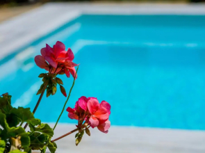 Villa Calypso Elounda
