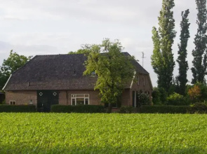 De Meesterbloem