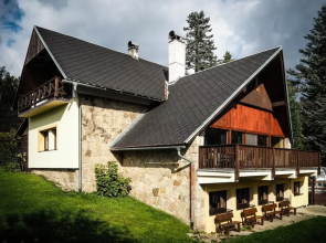 Villa in Stare Hamry Near Ski Park Grun