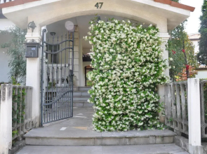 Apartmaji NIKA