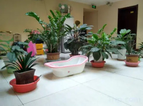 Shunfu Business Hotel