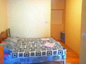 Guesthouse SVANURI SAKHLI