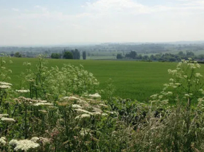 The Old Bakery Bed & Breakfast