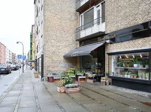 Newly-renovated 2-bedroom Apartment in Charlottenlund