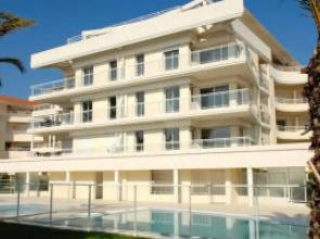 Royal Palm 218