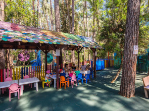 Gypsophila Club Marine