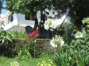 JM Butterfly B&B