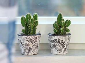 Rox Central Apartments 5