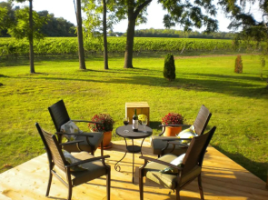 Vineyard Villa Bed & Breakfast