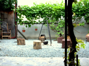 Casa cu Smochin | House with the fig