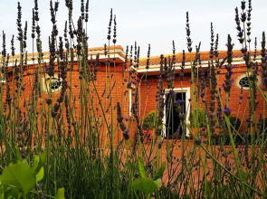 Villa Adalbert - Adults Only