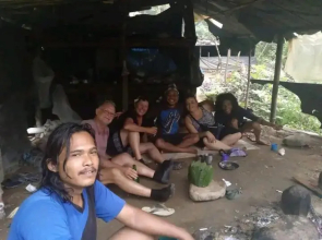 Brown Bamboo Bukit Lawang
