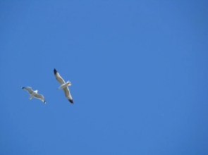 Villas F & B Summer Collection - Aegean Residence