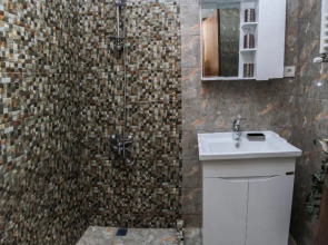 Natia's apartment on Dadiani st. 1