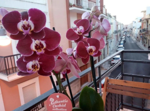 B&B Palazzo Mosca