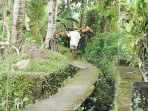 Villa Puja Ubud