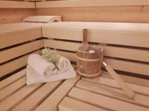 Studio Hochzillertal inklusive Wellness