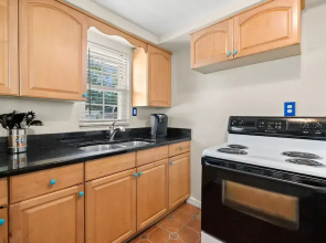 The Palms of Madeira