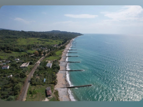 Мандарин Новый Афон