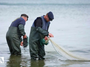 Villa Maria Wohnung 06