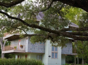 Abigaile's Treehouse